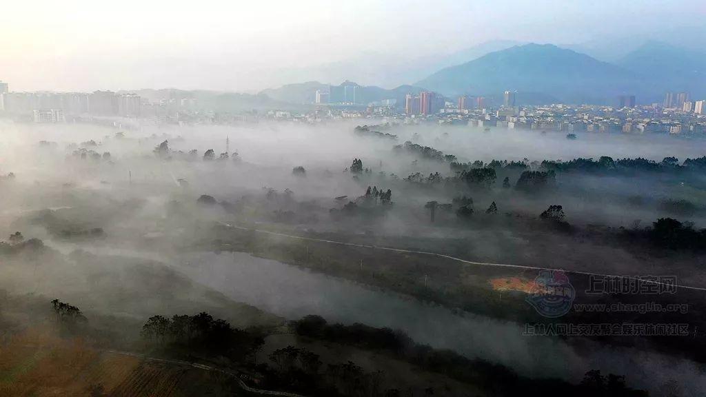 国王的坐骑