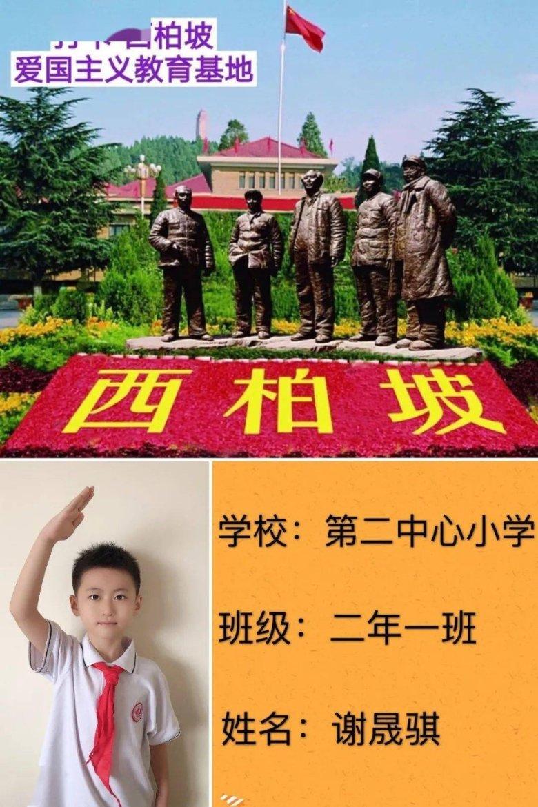 强大的狮子拼图